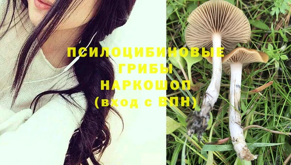 таблы Верхний Тагил