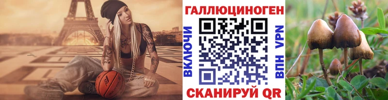 Купить где  Верхняя Салда  Галлюциногенные грибы мицелий 